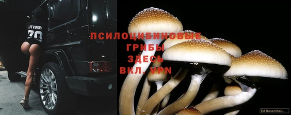 а пвп мука Богданович