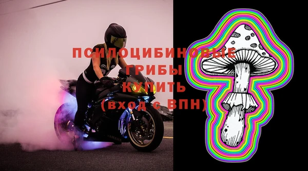 тгк Богородск