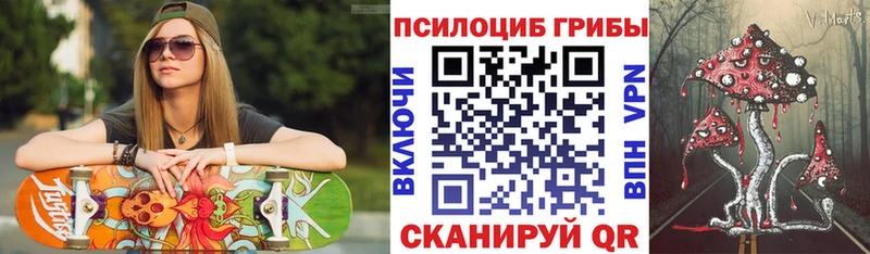 Псилоцибиновые грибы Cubensis Волосово